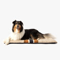 Load image into Gallery viewer, Shinola Brand Stripe Comfort Cushion Berber Dog Bed Oatmeal
