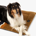 Load image into Gallery viewer, Shinola Brand Stripe Comfort Cushion Berber Dog Bed Rust