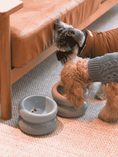 Load image into Gallery viewer, Soufflé Pet Bowl - Frozen Blue