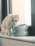 Load image into Gallery viewer, Soufflé Pet Bowl - Frozen Blue