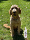 Load image into Gallery viewer, K9 Silk & Shine - Revitalize and Shines the Coat