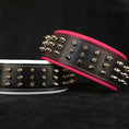 Load image into Gallery viewer, "Silver Giant" collar