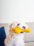 Load image into Gallery viewer, MB WOOLBONE - Southlake Paws