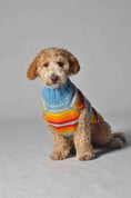 Load image into Gallery viewer, Turquoise Serape Dog Sweater