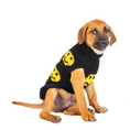 Load image into Gallery viewer, Smiley Dog Sweater