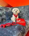 Load image into Gallery viewer, City Dog Leash - Iconic Red