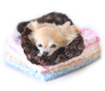 Load image into Gallery viewer, Snuggle Pup Sleeping Bags