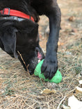 Load image into Gallery viewer, Christmas Tree Dog Toy - Durable Rubber Chew Toy for Large Dogs | USA Made