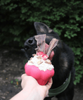 Load image into Gallery viewer, Cupcake eDispenser - Durable Rubber Chew Toy & Treat Dispenser | USA Made