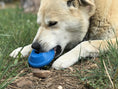 Load image into Gallery viewer, Flying Saucer Dog Toy - Durable UFO Chew Toy & Treat Dispenser | USA Made