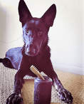 Load image into Gallery viewer, SP Magnum Can Toy eDispenser Ultra Durable Rubber Chew Toy & Treat Dispenser - Power Chewers