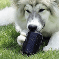 Load image into Gallery viewer, SP Magnum Can Toy eDispenser Ultra Durable Rubber Chew Toy & Treat Dispenser - Power Chewers