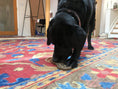 Load image into Gallery viewer, Peanut Nylon Dog Chew Toy | Ultra-Durable for Aggressive Chewers | SodaPup