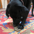 Load image into Gallery viewer, Peanut Nylon Dog Chew Toy | Ultra-Durable for Aggressive Chewers | SodaPup