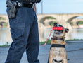 Load image into Gallery viewer, USA-K9 Firecracker Durable Rubber Floating Training Dummy - Large - Red
