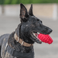 Load image into Gallery viewer, Grenade Shaped eDispenser Durable Dog Chew Toy & Treat Dispenser - Red & Blue