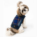 Load image into Gallery viewer, Red/Blue Plaid Panel Vest