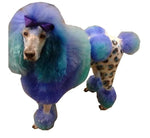 Critter Color - Temporary Pet Fur Coloring/Dog Dye