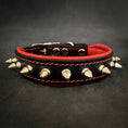 Load image into Gallery viewer, "Spiky" collar