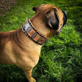Load image into Gallery viewer, The ''SPQR'' Dog Collar