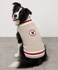 Load image into Gallery viewer, Squirrel Patrol Dog Sweater