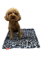 Carrier Square Blanket, Leopard Steel