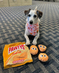Load image into Gallery viewer, PAWTATO CHIPS INTERACTIVE DOG TOY - Southlake Paws