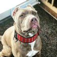 Load image into Gallery viewer, "Star" collar