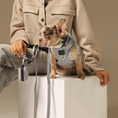 Load image into Gallery viewer, DOGISTRY SoHo Dog Harness - Steel