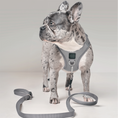 Load image into Gallery viewer, DOGISTRY 3-in-1 City Dog Leash - Steel