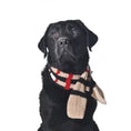 Load image into Gallery viewer, Classic Tan Plaid Pet Scarf