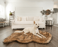 Load image into Gallery viewer, PupRug Faux Fur Orthopedic Dog Bed - Curve Sable Tan - Southlake Paws
