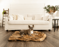Load image into Gallery viewer, PupRug Faux Fur Orthopedic Dog Bed - Curve Sable Tan