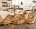 Load image into Gallery viewer, PupRug Faux Fur Orthopedic Dog Bed - Curve Sable Tan