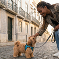 Load image into Gallery viewer, EcoBark Step In Dog Harness - XXXS to Small Breeds- Reflective Soft Mesh Harness for Teacup, Small Dogs and Puppies / Teal