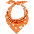 Load image into Gallery viewer, Texas State Dog Bandana x Studio Orch Collaboration