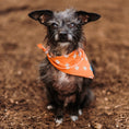 Load image into Gallery viewer, Texas State Dog Bandana x Studio Orch Collaboration