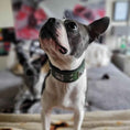 Load image into Gallery viewer, The "Eros" collar 2 inch wide Green