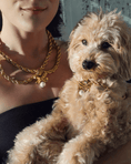Load image into Gallery viewer, The Grace Necklace