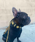 Load image into Gallery viewer, The "Maximus" collar 2 inch wide gold decoration