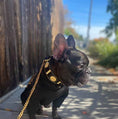 Load image into Gallery viewer, The "Maximus" collar 2 inch wide gold decoration