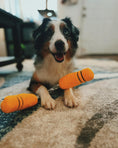 Load image into Gallery viewer, NUNCHUCKS TUG ROPE INTERACTIVE TOY - Southlake Paws