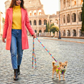 Load image into Gallery viewer, EcoBark Step In Dog Harness - XXXS to Small Breeds- Reflective Soft Mesh Harness for Teacup, Small Dogs and Puppies / Tie-dye