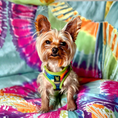 Load image into Gallery viewer, EcoBark Step In Dog Harness - XXXS to Small Breeds- Reflective Soft Mesh Harness for Teacup, Small Dogs and Puppies / Tie-dye