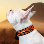 Tiger Sambboho dog collar (animal print collection)