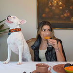 Tiger Sambboho dog collar (animal print collection)