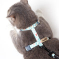 Load image into Gallery viewer, Touchcat 'Radi-Claw' Durable Cable Cat Harness and Leash Combo