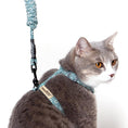 Load image into Gallery viewer, Touchcat 'Radi-Claw' Durable Cable Cat Harness and Leash Combo