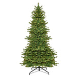 Kurt Adler 9-Foot Charleston Medium Tree with 950-Light