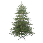 Kurt Adler 7-Foot Pre-Lit Warm White LED Mountain Pine Tree